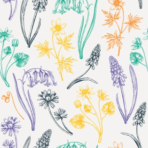 Seamless spring flowers pattern. Hand-drawn wildflowers background. Forest plant and wild flowers illustration. Bluebell, grape hyacinth, muscari, fritillary, winter aconite, wood anemone background